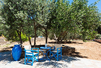 A lounge at the olive yard of Kalypso