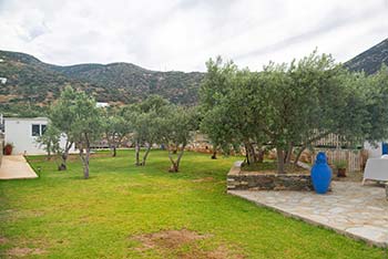The olive yard of Kalypso